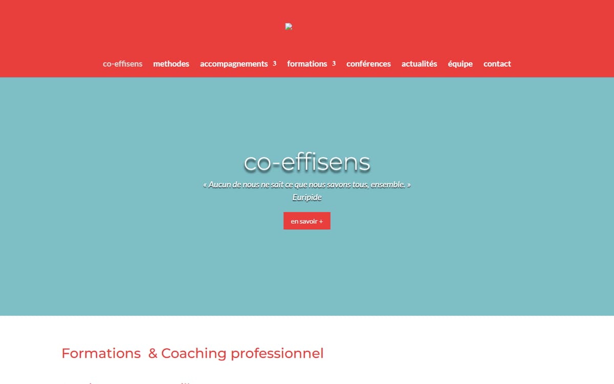 Capture de la page d’accueil du site officiel de Co-Effisens