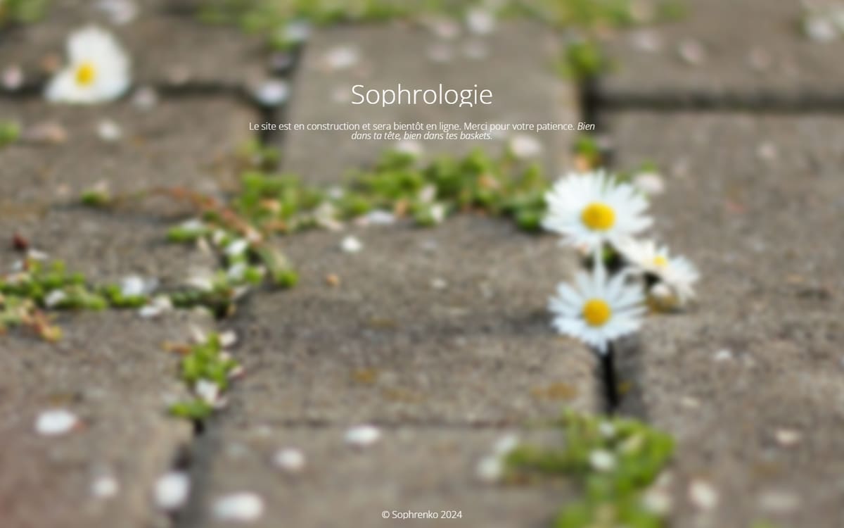 Capture de la page d’accueil du site officiel de Sophrenko - Sophrologie